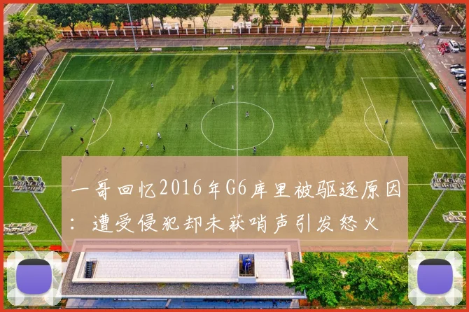 一哥回忆2016年G6库里被驱逐原因：遭受侵犯却未获哨声引发怒火
