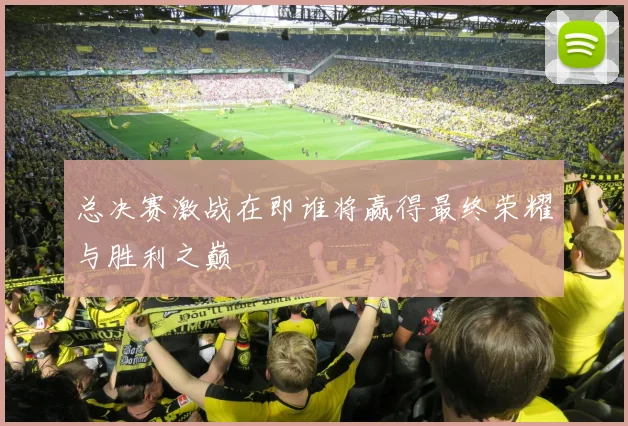 总决赛激战在即谁将赢得最终荣耀与胜利之巅